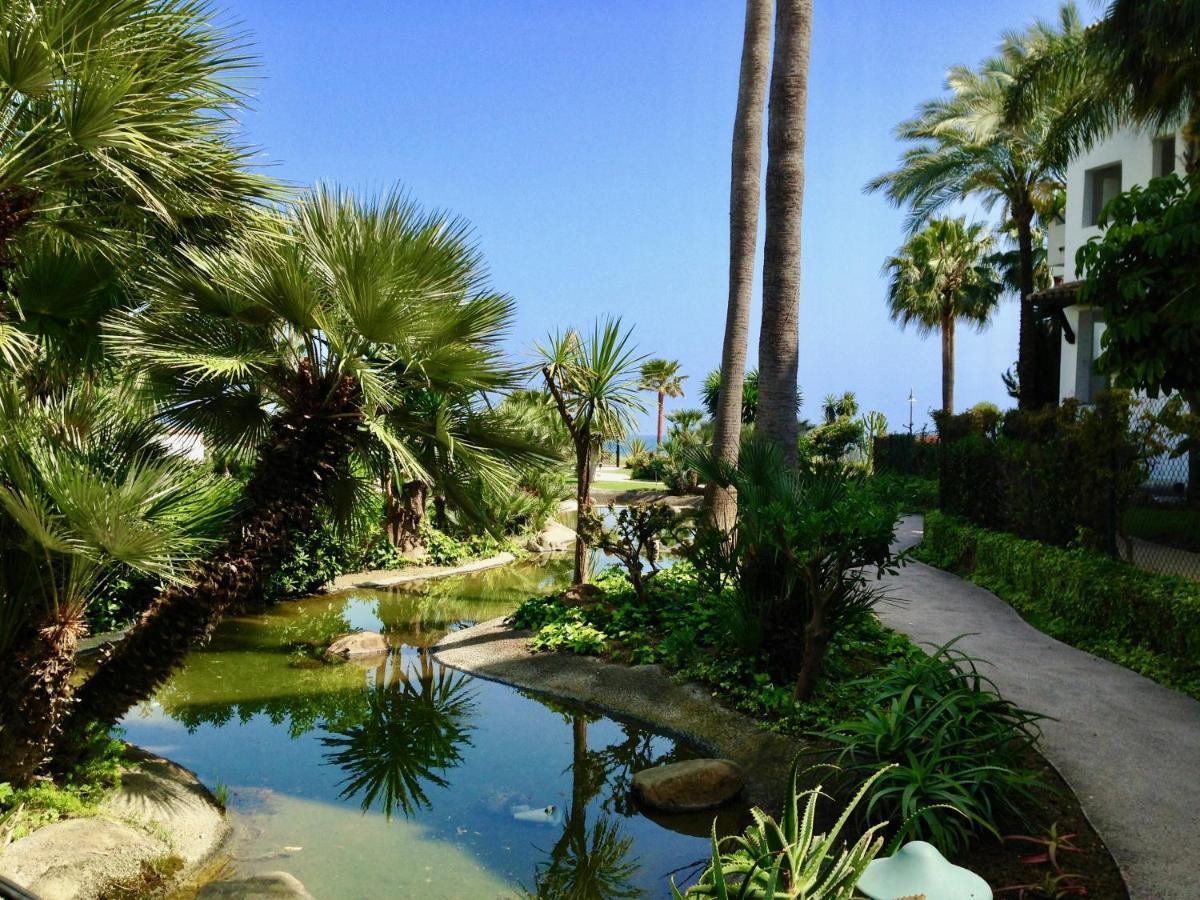 Exceptional Beachfront Complex With Pool In Costalita, אסטפונה מראה חיצוני תמונה